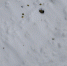 57c8d002-a625-4932-ba31-101f48dd9dab - УМВД Тюменской области