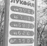 А у нас в машине газ, а у вас? - Тюменский курьер