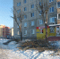 В округе Наталии Путиной проводится обрезка деревьев - Городская Дума