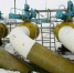 В ФРГ потребовали возобновить поставки российского газа - NG72.Ru