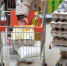 Тюменцы все чаще стали отдавать предпочтение продуктам местного производства - ГТРК Регион-Тюмень