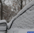 Фото Екатерины Христозовой - Tumentoday.Ru