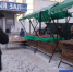 Фото Евгении Ноговициной - Tumentoday.Ru