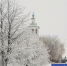 Фото Елены Ковалевой - Tumentoday.Ru