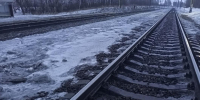 Фото Евгении Ноговициной - Tumentoday.Ru