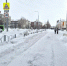 Фото Елены Ковалевой - Tumentoday.Ru