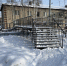 Депутаты Тюменской городской думы помогают решать вопросы жителей - ИА Тюменская линия