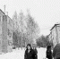 Картина понемногу проясняется - Тюменский курьер