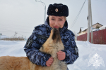 К всероссийскому ведомственному проекту «#Я_Защитница» присоединилась сотрудница Росгвардии из Тюмени