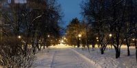 Фото Елены Рочевой - Tumentoday.Ru