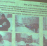 Готовность Тюмени к весеннему половодью обсудили депутаты городской Думы - ГТРК Регион-Тюмень