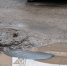 Водоканал попросил тюменцев не открывать люки из-за талой воды - NG72.Ru