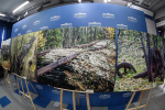 Фотовыставка о Трансполярной магистрали открылась в Тюмени