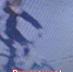 image-30-03-26-11-02 - УМВД Тюменской области