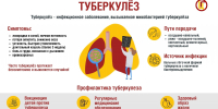 24 марта - День борьбы с туберкулезом! - Городская поликлиника №3