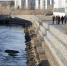 Фото Тюменской городской Думы, автор Александр Мащенко - Tumentoday.Ru