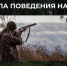 Основные требования к безопасности на охоте - Госохотдепартамент Тюменской области