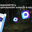Госохотдепартамент Тюменской области теперь в мессенджере MAX - Госохотдепартамент Тюменской области