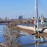 В Тюмени уровень реки Туры растёт более чем на 40 см в сутки, к 14 апреля возможно затопление поймы - NG72.Ru