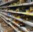 Тюменцы потратили 54 млрд на продукты, напитки и табак в январе-феврале 2026-го - MegaTyumen.Ru