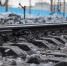 Фото Екатерины Христозовой - Tumentoday.Ru