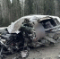 Полмашины всмятку. Под Тюменью смертельная авария с большегрузом унесла жизнь пожилого омича - MegaTyumen.Ru