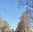 Фото Евгении Ноговициной - Tumentoday.Ru