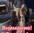 JPEG Файл - УМВД Тюменской области