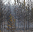 Фото Екатерины Христозовой - Tumentoday.Ru