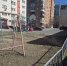 Дмитрий Ошурков с коллегами провел обследование спортивных площадок - Городская Дума