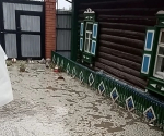 Дмитрий Ошурков провел личный прием граждан