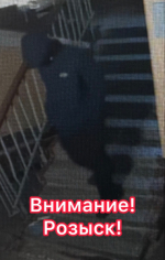 JPEG Файл