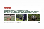 Внесены изменения в график проведения жеребьёвок по распределению разрешений на добычу охотничьих ресурсов