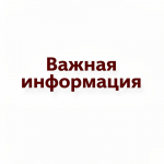 Правила размещения сведений об иных лицах, осуществляющих обеззараживание медицинских отходов, а также о лицах, оказывающих услуги по транспортированию и обезвреживанию медицинских отходов на территории субъекта Российской Федерации