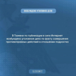 В Тюмени возбуждено уголовное дело по факту совершения противоправных действий в отношении подростка