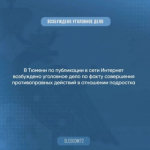 В Тюмени возбуждено уголовное дело по факту совершения противоправных действий в отношении подростка